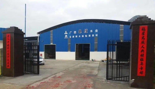 林槿板材總經(jīng)理馬中江 彎道超速 與廣西一同按下快進(jìn)鍵